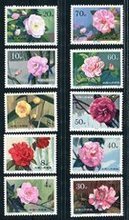 T37邮票 全面解析与收藏参考信息